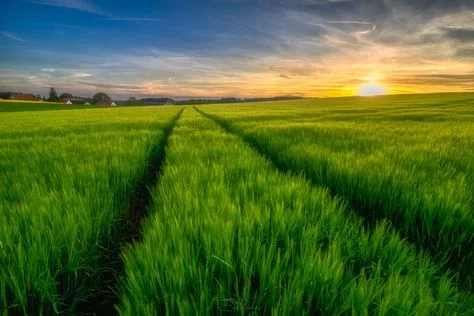 Agriculture Spraying